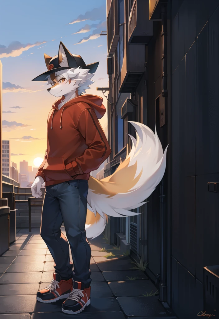 (Fox, furry, anthropomorphic), Male, standing in alleyway, city background, outside, wearing jeans wearing red hoodie, Furry art, Fur on arms, big Floofy tail, fur on legs, (Black Fur covering whole body, Best quality, human like body figure), looking at sunset, wearing white hat