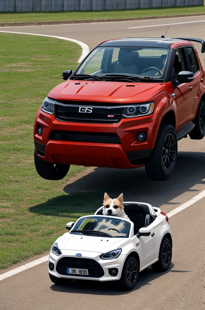 Perro manejando carro