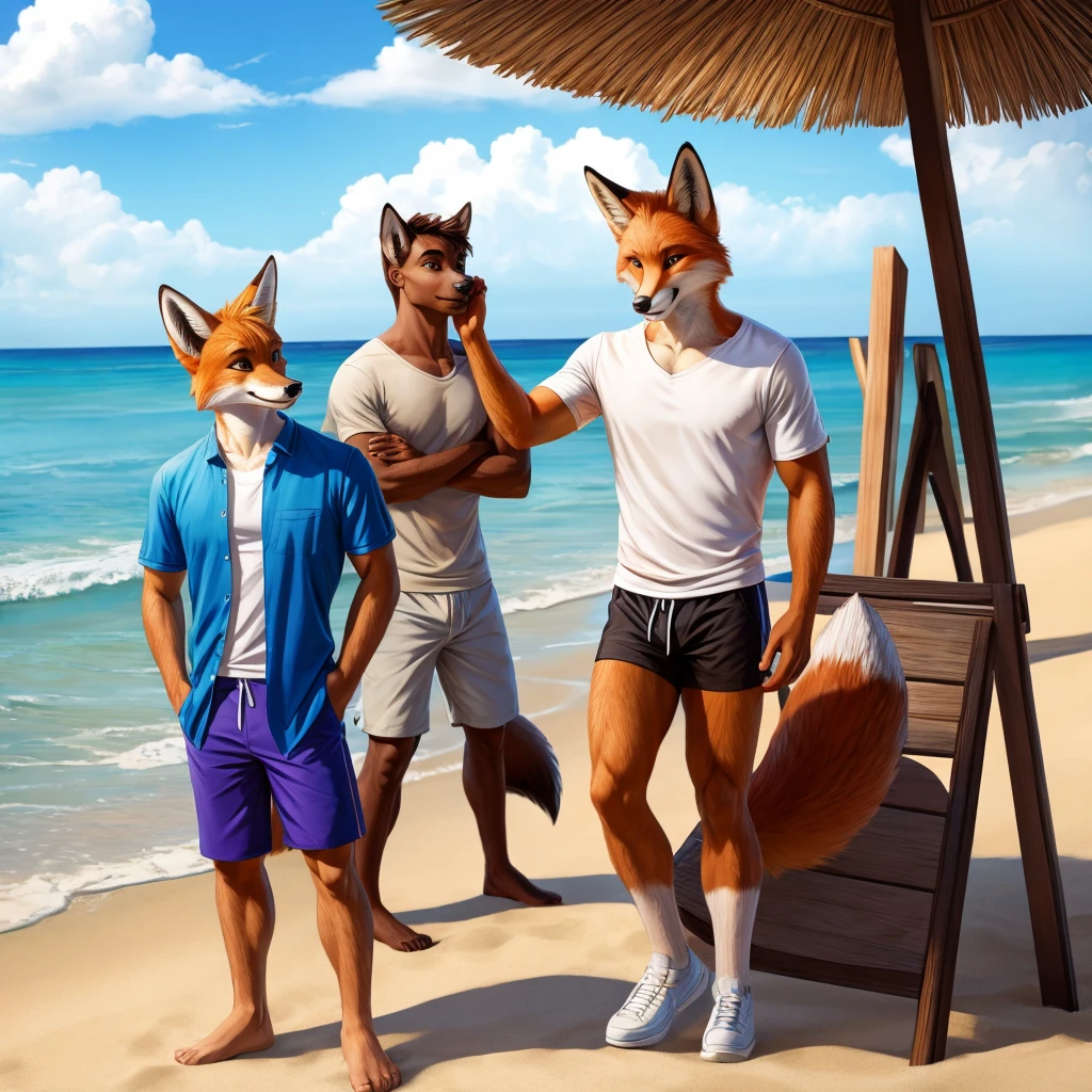 Practical , Handsome fox casual wear, beach ,permanent