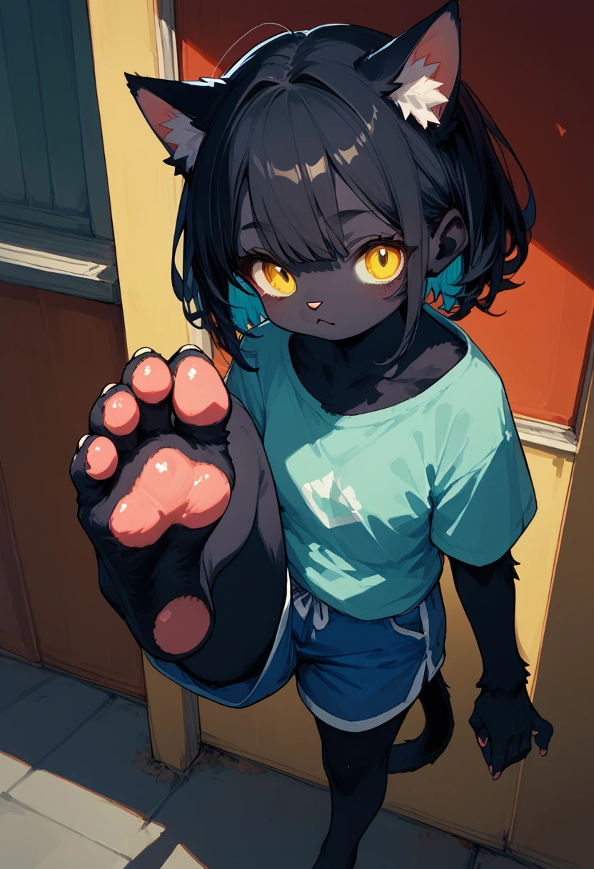 score_9,score_8_up,score_7_up,score_6_up,score_5_up,source_anime,source_furry, hadrian,from above,fisheye,standing and show foot,shanding and show sole,standing on one leg,foot focus,sole,barefoot,no shoes, furry female, cat girl, black fur, yellow eyes, black hair, paw_sloe,sharp_toenails, pawpads, shorts