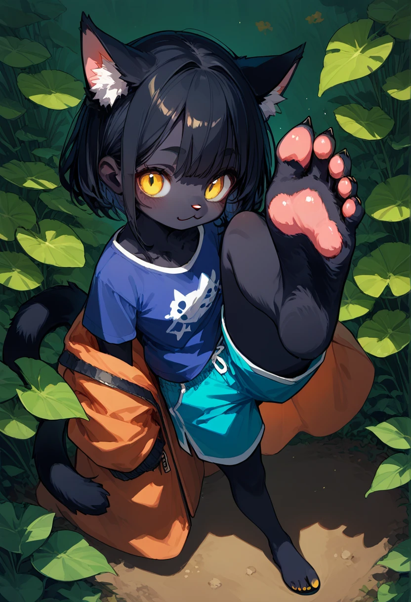 score_9,score_8_up,score_7_up,score_6_up,score_5_up,source_anime,source_furry, hadrian,from above,fisheye,standing and show foot,shanding and show sole,standing on one leg,foot focus,sole,barefoot,no shoes,  furry female, cat girl, black fur, yellow eyes, black hair, paw_sloe,sharp_toenails, pawpads, shorts