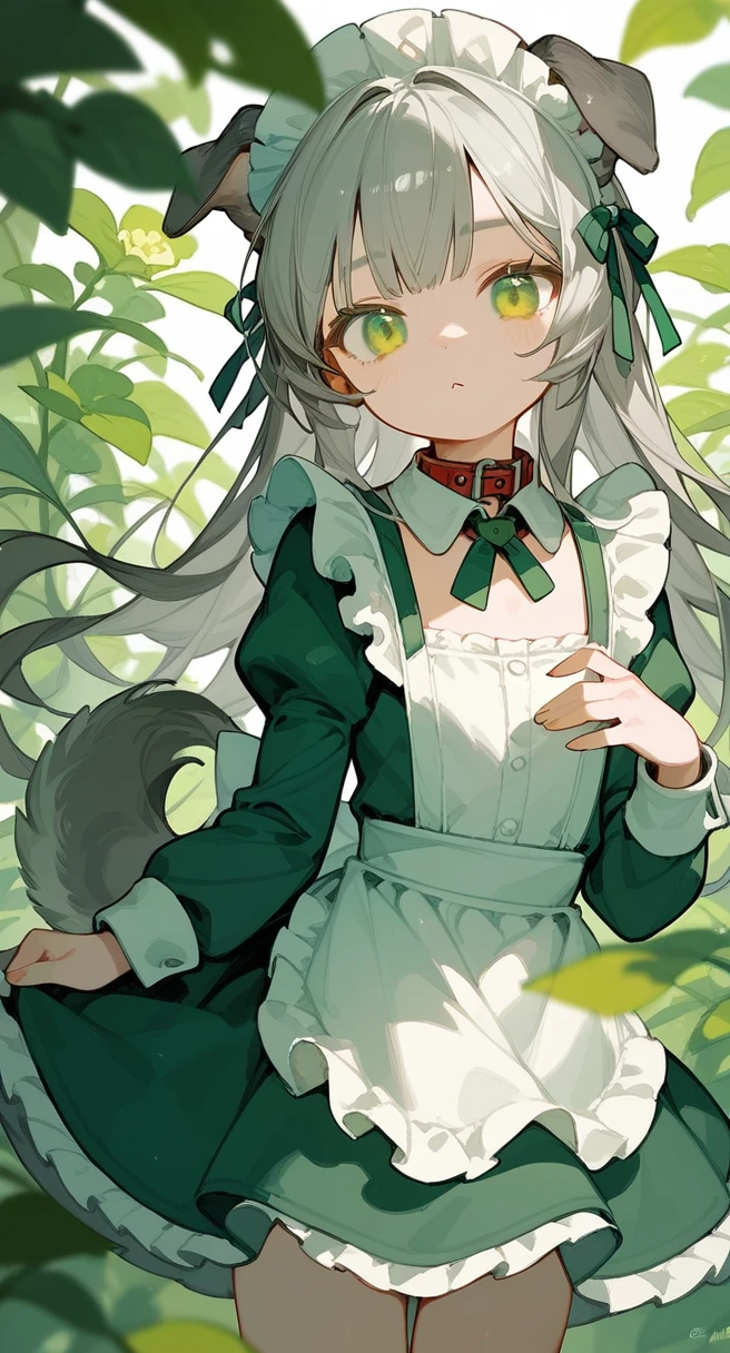 Gray hair,Collar,Maid,Dog ears,Long hair,A tail,Loli,,flat chest,Green pupils,grey ears,Green Landmine Jacket