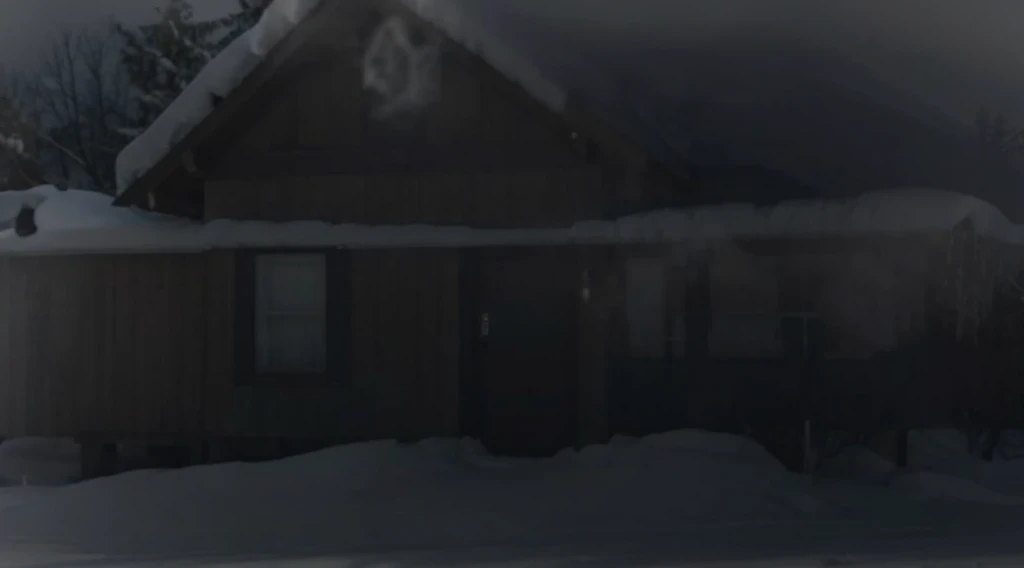 wooden house, winter, night, snow
