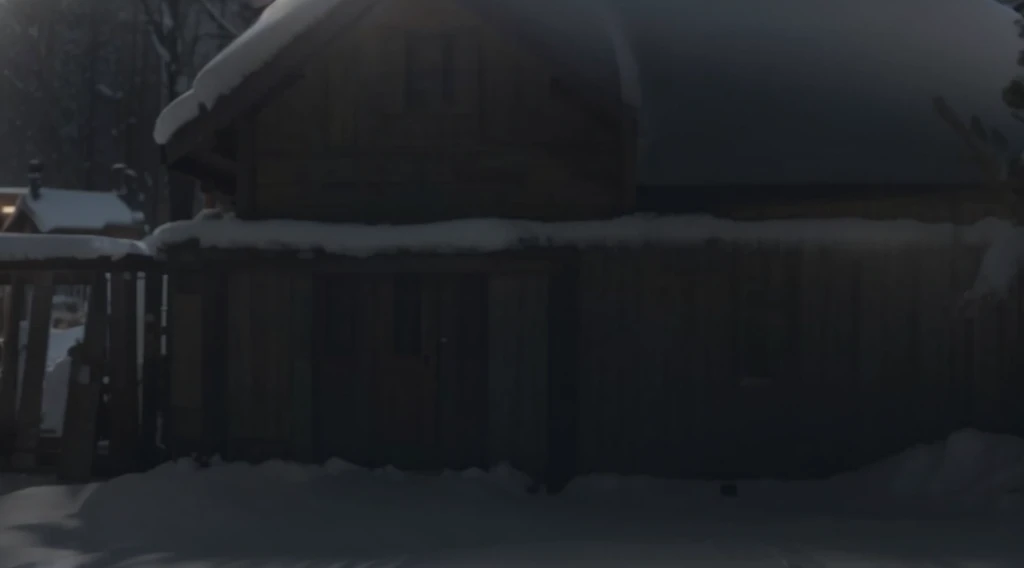 wooden house, winter, night, snow