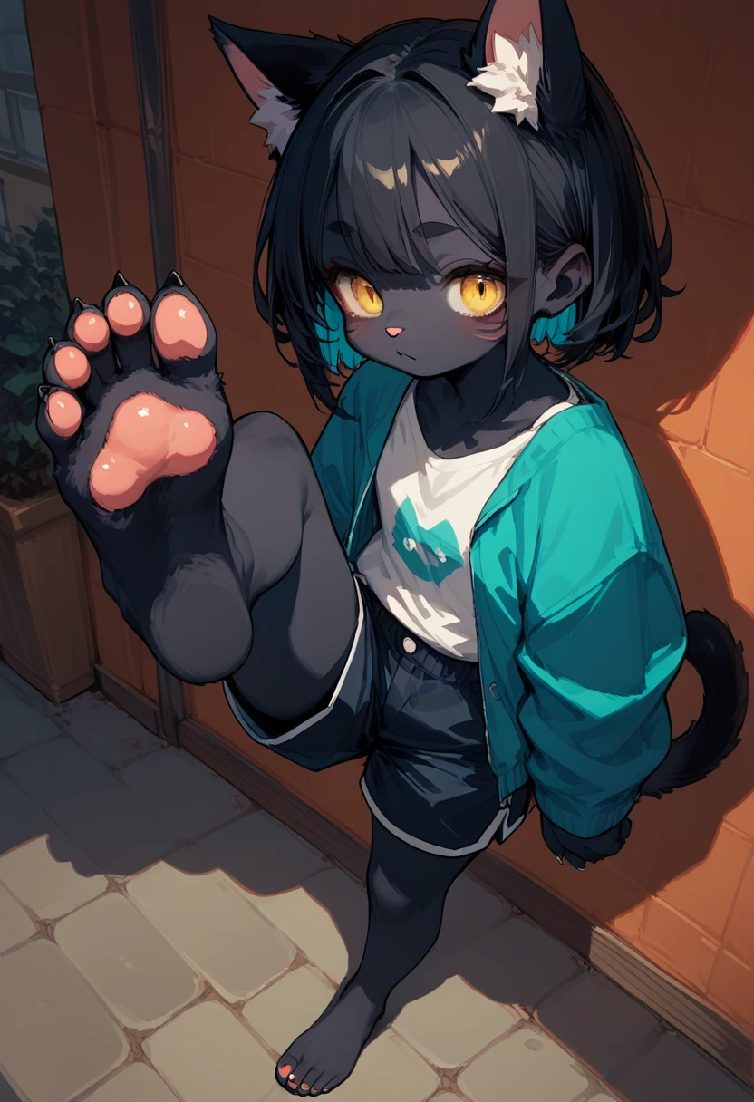 score_9,score_8_up,score_7_up,score_6_up,score_5_up, source_furry, hadrian,from above,fisheye,standing and show foot,shanding and show sole,standing on one leg,foot focus,sole,barefoot,no shoes,  furry female, cat girl, black fur, yellow eyes, black hair, paw_sloe,sharp_toenails, pawpads, shorts