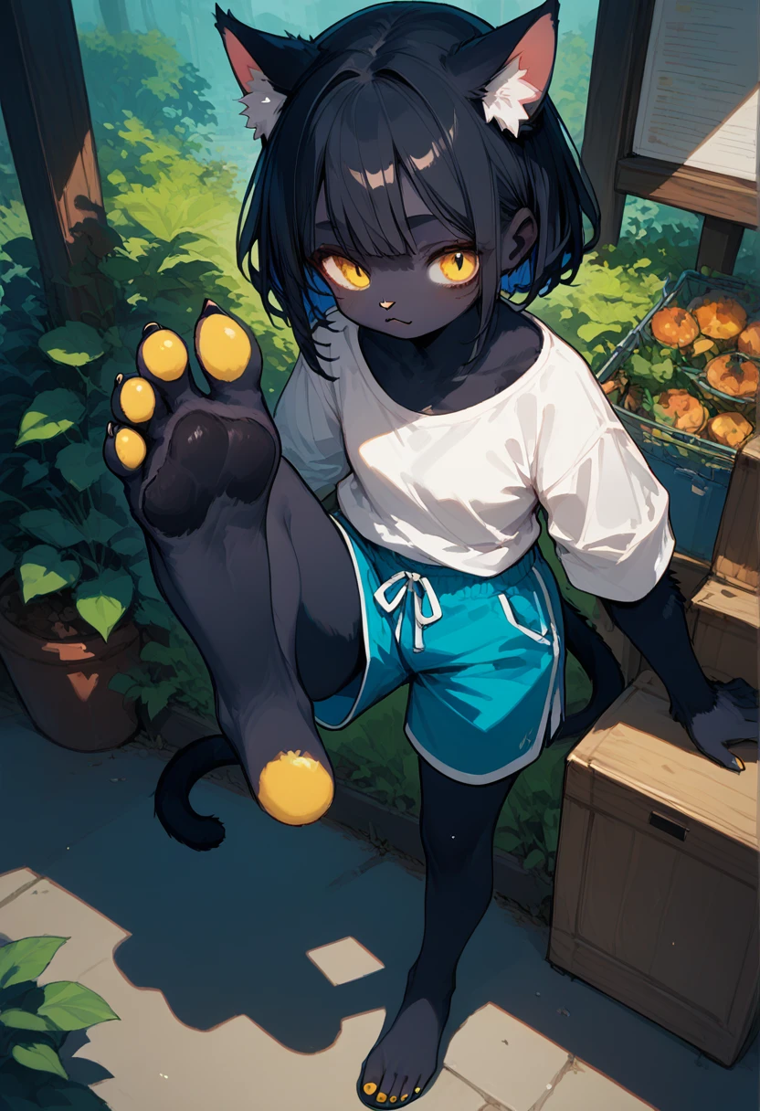 score_9,score_8_up,score_7_up,score_6_up,score_5_up, source_furry, hadrian,from above,fisheye,standing and show foot,shanding and show sole,standing on one leg,foot focus,sole,barefoot,no shoes,  furry female, cat girl, black fur, yellow eyes, black hair, paw_sloe,sharp_toenails, pawpads, shorts