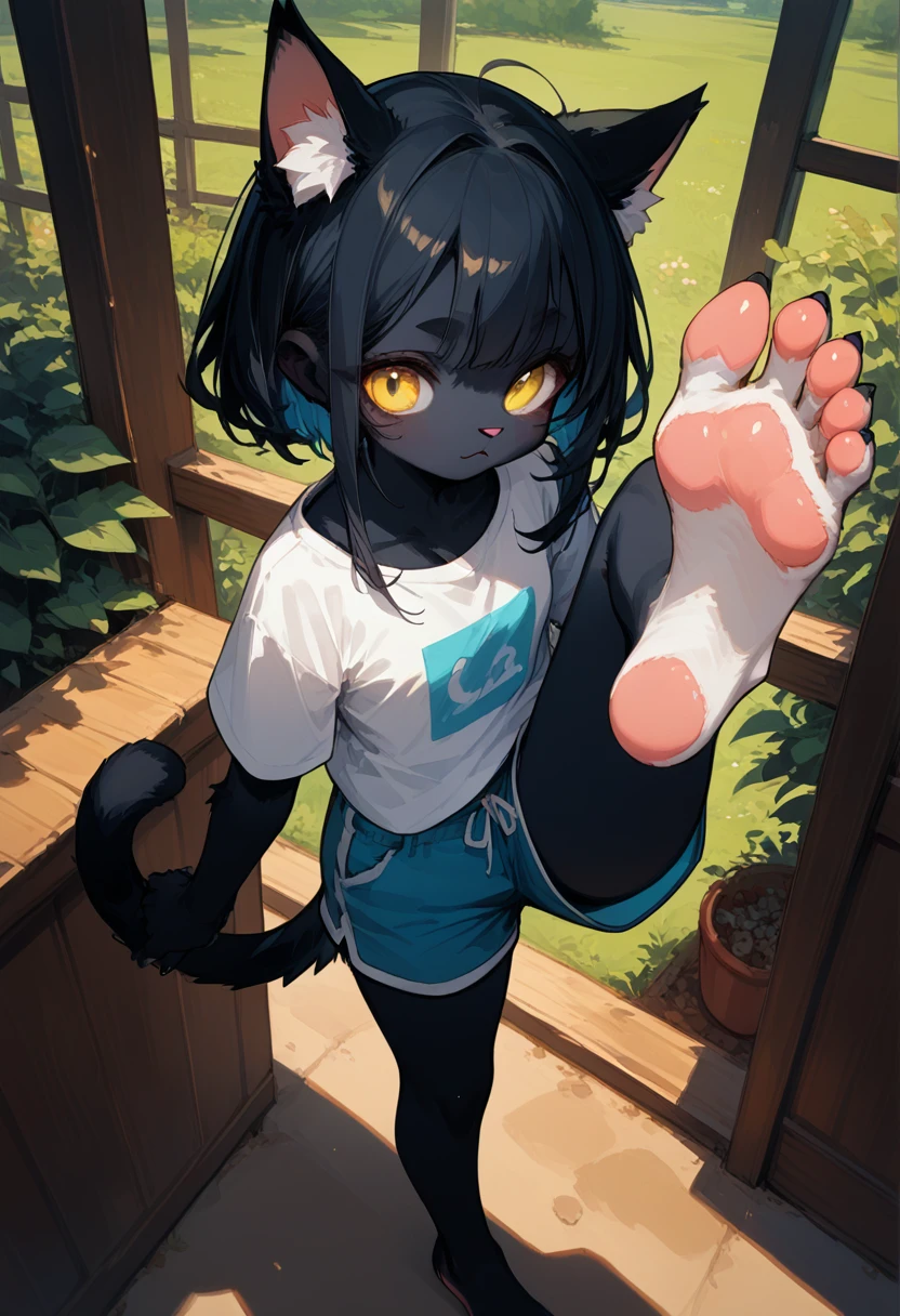 score_9,score_8_up,score_7_up,score_6_up,score_5_up, source_furry, hadrian,from above,fisheye,standing and show foot,shanding and show sole,standing on one leg,foot focus,sole,barefoot,no shoes,  furry female, cat girl, black fur, yellow eyes, black hair, paw_sloe,sharp_toenails, pawpads, shorts