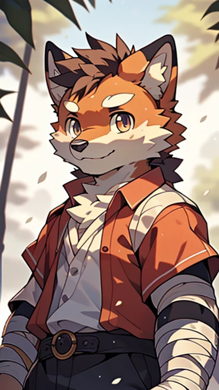 masterpiece,Official Art,hairy,male,Shota,Anthropomorphic orange fox,Brown face,Exquisite eyes,White shirt, Depth of Field, Perfect lighting, Light Particles,(best quality),(masterpiece),(Super detailed),Clear focus,Light Particles,Hand bandage,(whole body)