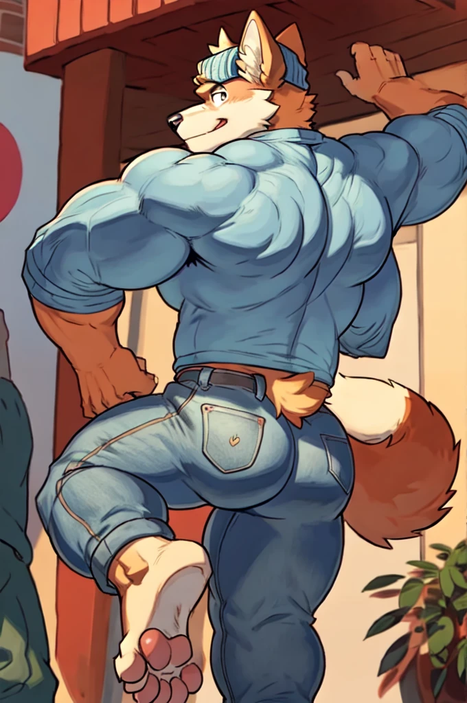 Wolf, By Meesh, Big Pecs, Fluffy Tail, Wolf Tail, 1boy, animal ears, ass, back, bara, beanie, bulge, butt crack, cropped legs, denim, dog boy, dog ears, feet out of frame, from behind, furry, furry male, hat, jeans, male focus, muscular, muscular male, pants, pectorals, short hair, solo, tail, thick thighs, thighs, topless male
