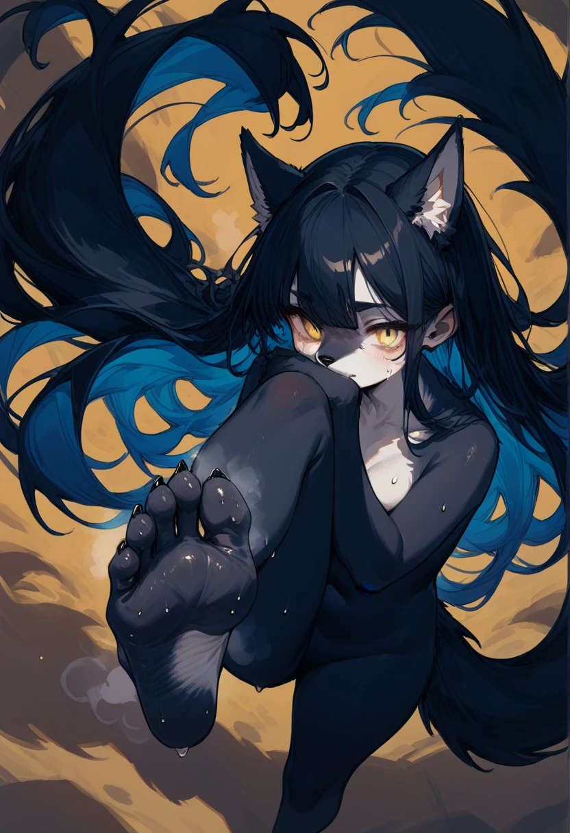 score_9,score_8_up,score_7_up,score_6_up,score_5_up, source_furry, long hair, hair covering ears, hadrian,from above,fisheye,standing and show foot,shanding and show sole,standing on one leg,foot focus,sole,barefoot, furry female, wolf, (((snout))), black fur, yellow eyes, black hair, paw_sloe,sharp_toenails, claws, pawpads, naked, steaming and sweat feet, stinky feet