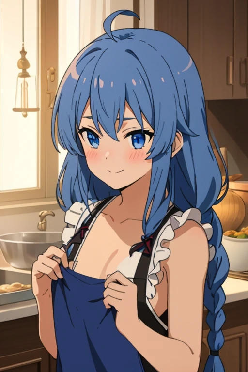 (masterpiece, best quality), music, 1 girl, solitary, Smile, blush, Double braid, long hair, Blue Hair, garlic,  blue eyes, ((apron)), ((nude)), 裸apron，Small Breasts,  Everlasting,  looking at the audience,indoors, Sexy pose，