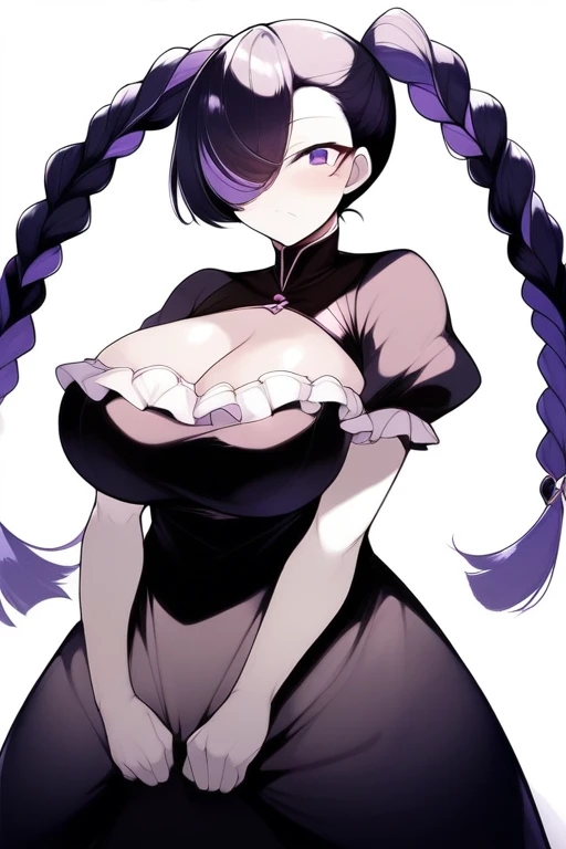 score_9, score_8_up, score_7_up, masterpiece, best quality, very aesthetic, absurdres, official art, official style, anime screencap, (game cg:1.2), megami magazine, zPDXL, zPDXLpg, 1girl, solo focus, (large breasts:1.3), purple eyes, ((white and black split-color hair)), twintail braids, eyebrows visible through hair, hair over one eye, BREAK, short sleeves, black dress, big dress, frilled dress, standing