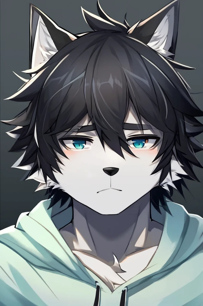 Wolf、Handsome、Messy Hair、Wearing a white hoodie、A tired face、looking at the camera、Simple Background、Black Hair、Black Ear