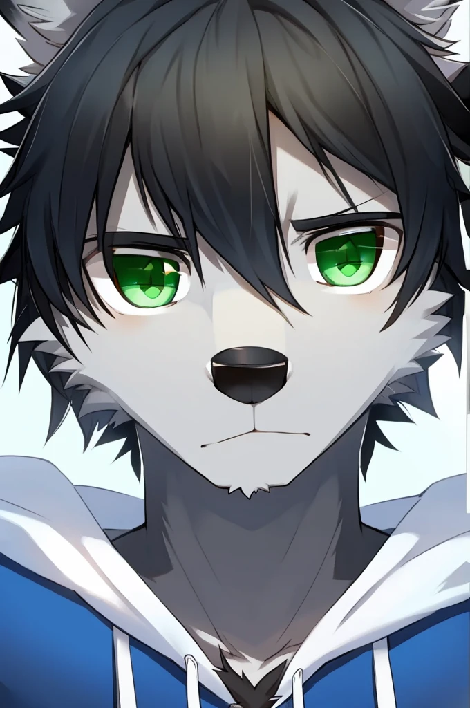 Wolf、Handsome、Messy Hair、Wearing a white hoodie、A tired face、looking at the camera、Simple Background、Black Hair、Black Ear、Green Eyes、The whole body is visible