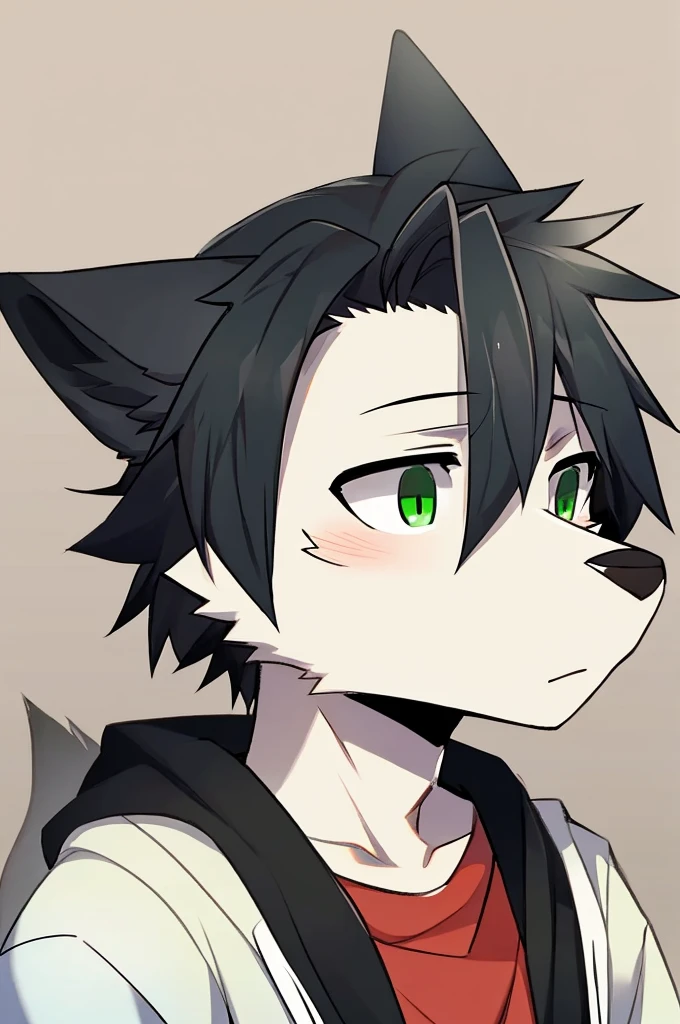 Wolf、Handsome、Messy Hair、Wearing a white hoodie、A tired face、Simple Background、Black Hair、Black Ear、Green Eyes、The whole body is visible、Watching the audience