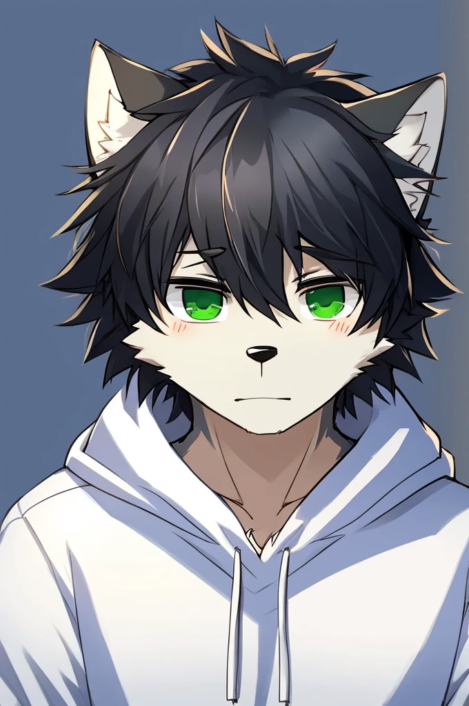 Wolf、Handsome、Messy Hair、Wearing a white hoodie、A tired face、Simple Background、Black Hair、Black Ear、Green Eyes、The whole body is visible、Looking this way