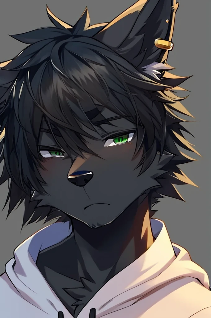 Wolf、Handsome、Messy Hair、Wearing a white hoodie、A tired face、Simple Background、Black Hair、Black Ear、Green Eyes、The whole body is visible、Looking this way、Dog ear piercing、dark