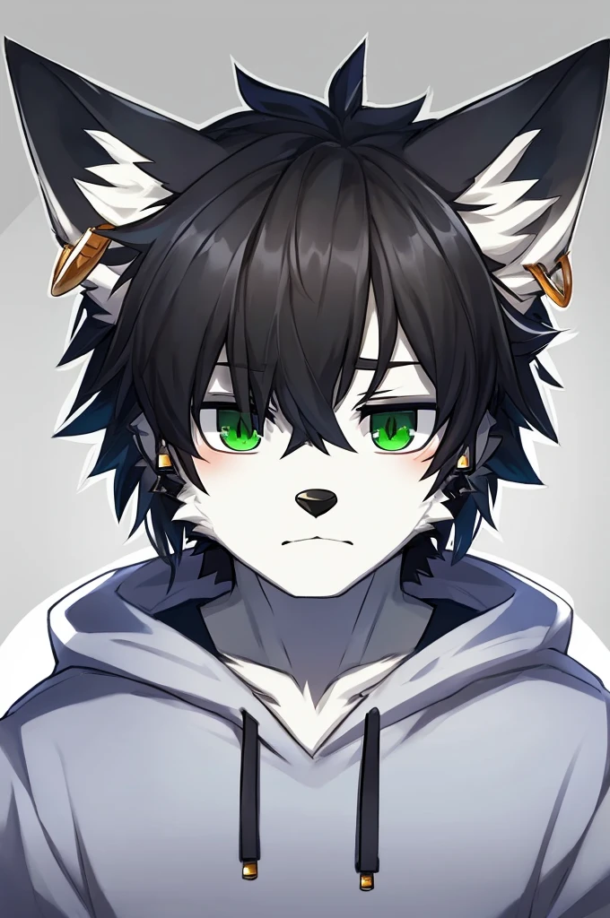 Wolf、Handsome、Messy Hair、Wearing a white hoodie、A tired face、Simple Background、Black Hair、Black Ear、Green Eyes、The whole body is visible、Looking this way、Earrings、Front view