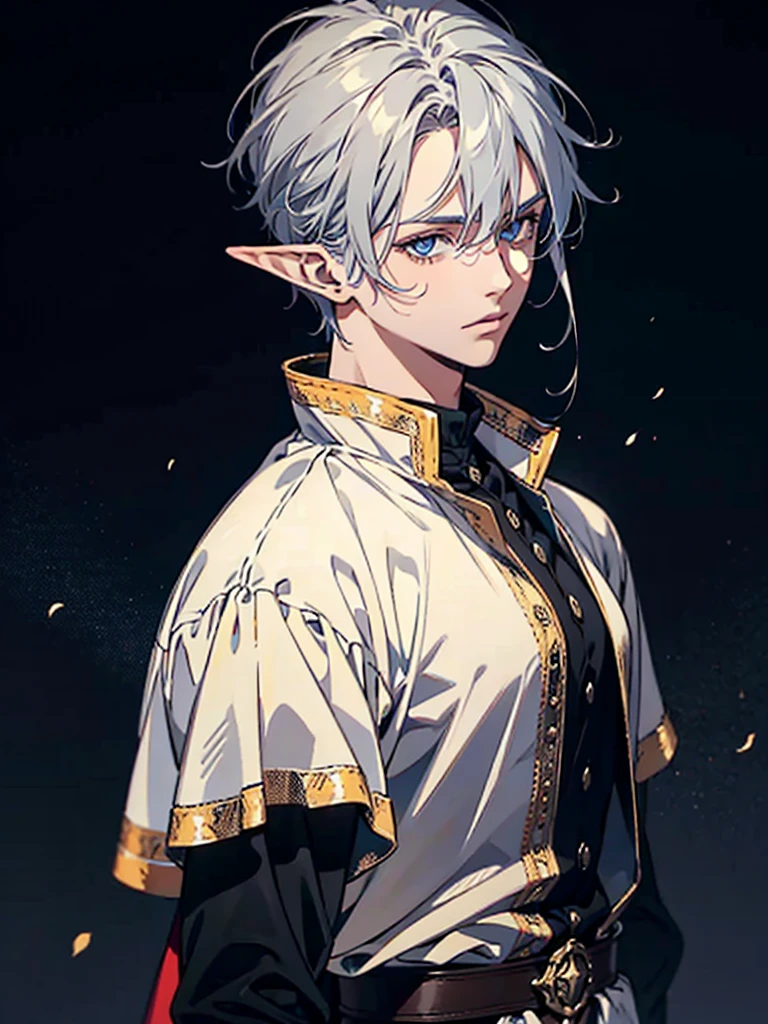 Elf Man, Guy with Gray hair, male, blue eyes, standing, medieval dress looking at viewer, digital art, masterpiece, sharp, black background, close look, no background, portrait,