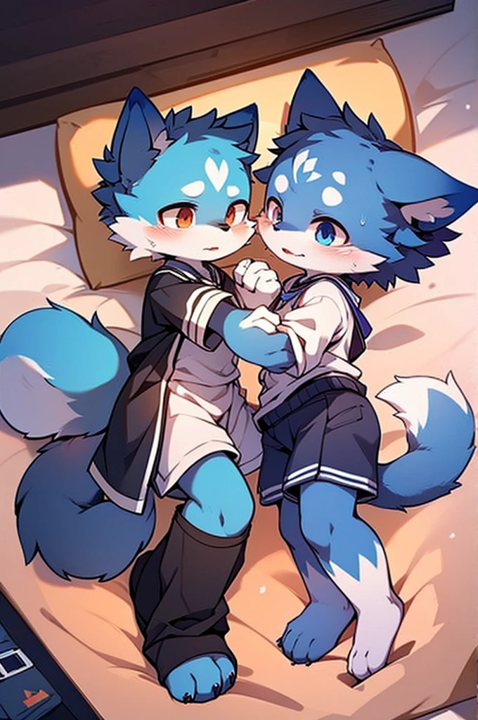 Blue fur, Canine, fox motif, Couple of girls and boys, uniform、Hand in hand,Both of them are crying,many tears come out of my eyes,bed,
