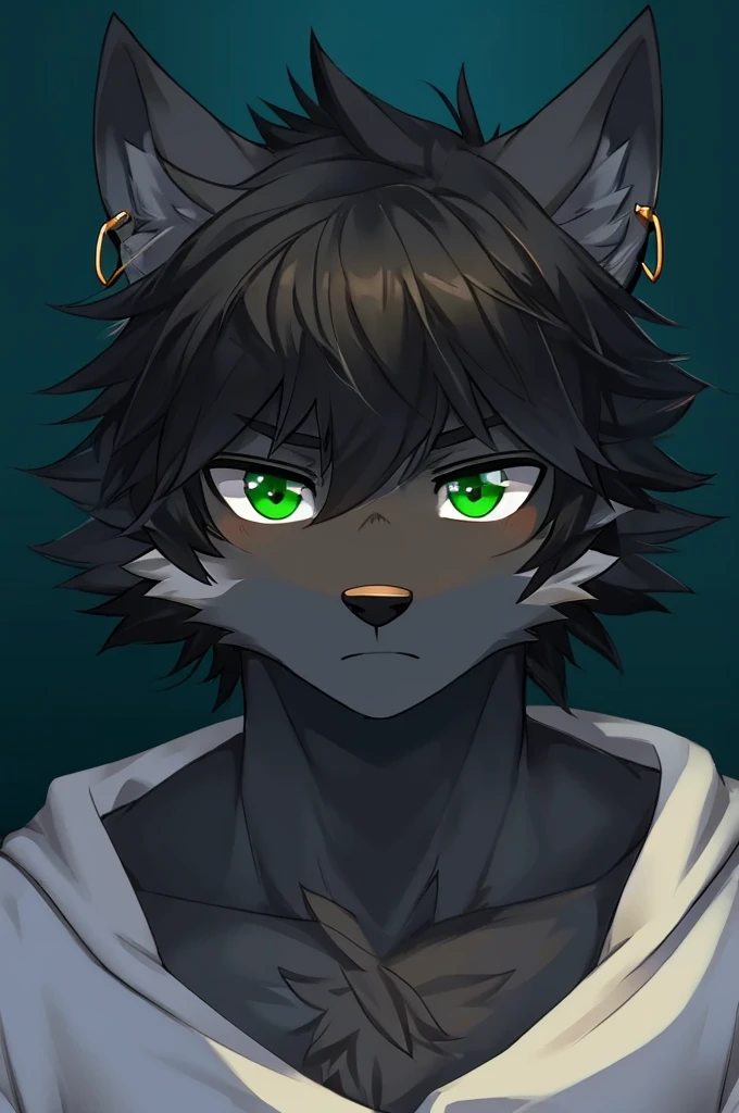 Wolf、Handsome、Messy Hair、Wearing a white hoodie、A tired face、Simple Background、Black Hair、Black Ear、Green Eyes、The whole body is visible、Looking this way、Earrings、Front view