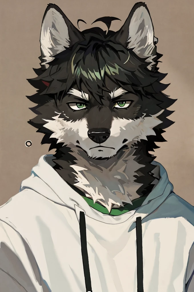 Wolf、Handsome、Messy Hair、Wearing a white hoodie、A tired face、Simple Background、Black Hair、Black Ear、Green Eyes、The whole body is visible、Looking this way、Earrings、Front view