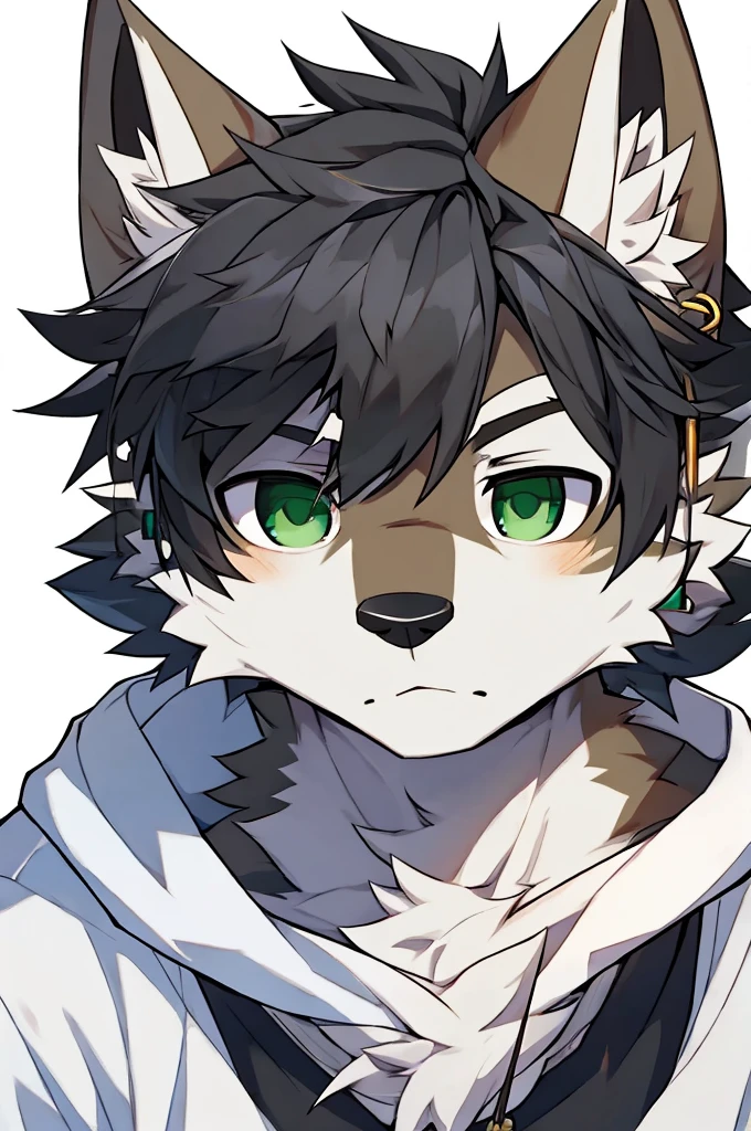 Wolf、Handsome、Messy Hair、Wearing a white hoodie、A tired face、Simple Background、Black Hair、Black Ear、Green Eyes、The whole body is visible、Looking this way、Earrings、Front view
