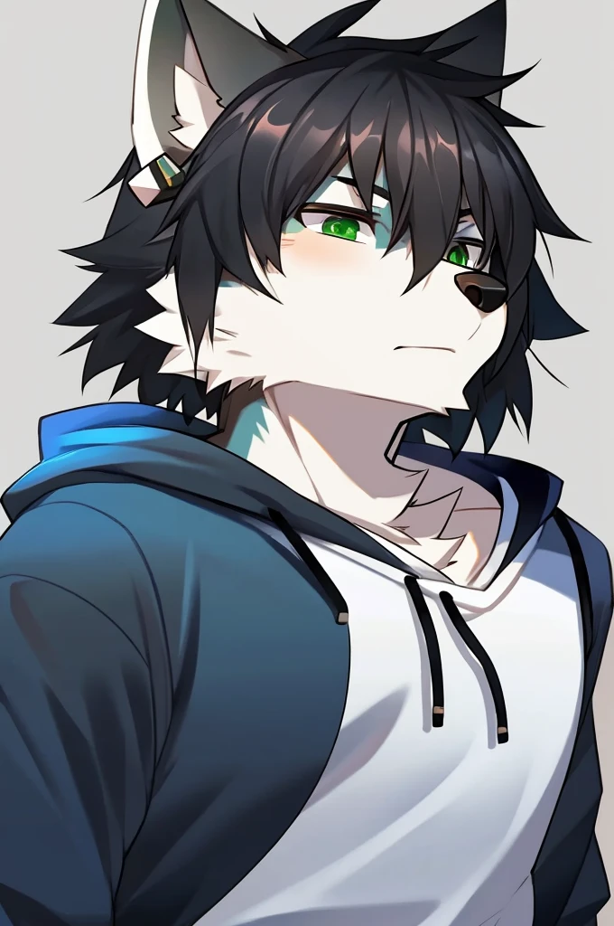 Wolf、Handsome、Messy Hair、Wearing a white hoodie、A tired face、Simple Background、Black Hair、Black Ear、Green Eyes、The whole body is visible、Looking this way、Earrings、Front view