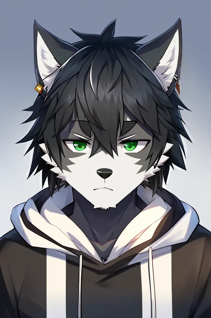 Wolf、Handsome、Messy Hair、Wearing a white hoodie、A tired face、Simple Background、Black Hair、Black Ear、Green Eyes、The whole body is visible、Looking this way、Earrings、Front view