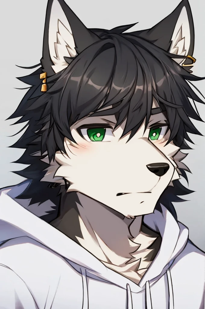 Wolf、Handsome、Messy Hair、Wearing a white hoodie、A tired face、Simple Background、Black Hair、Black Ear、Green Eyes、The whole body is visible、Looking this way、Earrings、Front view