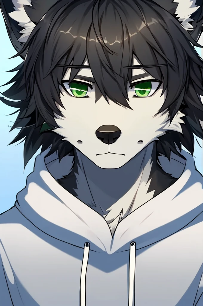 Wolf、Handsome、Messy Hair、Wearing a white hoodie、A tired face、Simple Background、Black Hair、Black Ear、Green Eyes、The whole body is visible、Looking this way、Earrings、Front view
