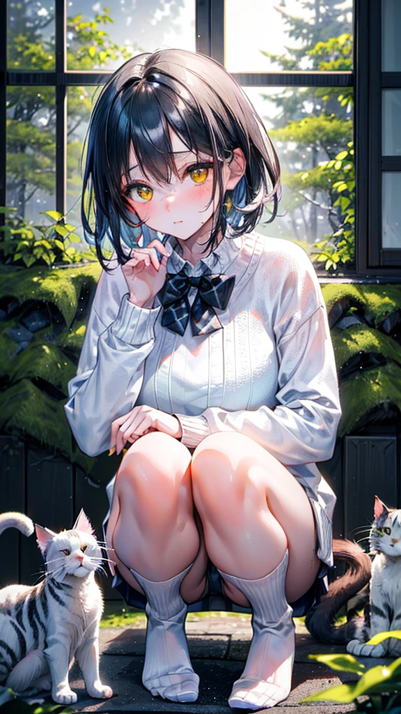 (Best quality, 8k, 32k, Masterpiece, UHD,:1.2),RAW, 1girl,ultra cute , natural lighting,transparent shining eyes, 20yo,medium breast ,fair complexion ,flushed face, dynamic angle, short hair, White sweater, squatting near windows, ((Norwegian Forest Cat at her foot)), Big Cat, Playing with Cat, 