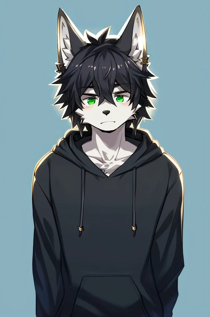 Wolf、Handsome、Messy Hair、wearing a short-sleeved hoodie、A tired face、Simple Background、Black Hair、Black Ear、Green Eyes、The whole body is visible、Looking this way、Earrings、Front view