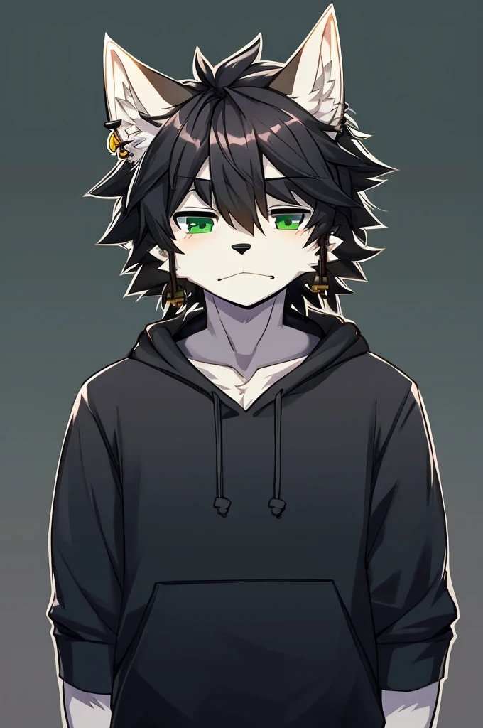 Wolf、Handsome、Messy Hair、wearing a short-sleeved hoodie、A tired face、Simple Background、Black Hair、Black Ear、Green Eyes、The whole body is visible、Looking this way、Earrings、Front view