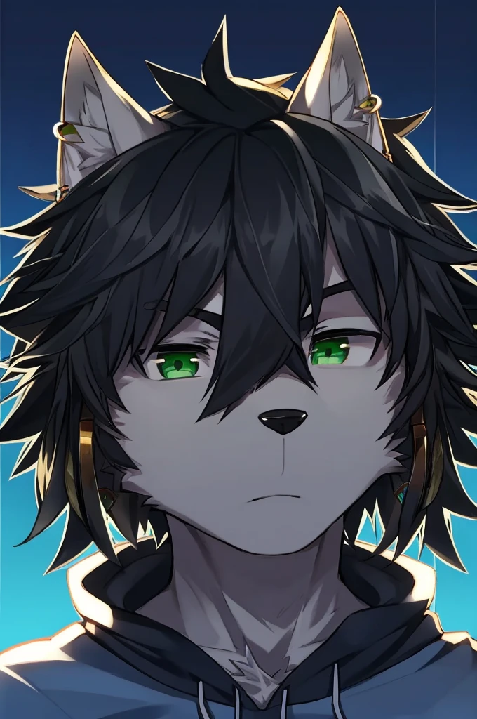 Wolf、Handsome、Messy Hair、wearing a short-sleeved hoodie、A tired face、Simple Background、Black Hair、Black Ear、Green Eyes、The whole body is visible、Looking this way、Earrings、Front view