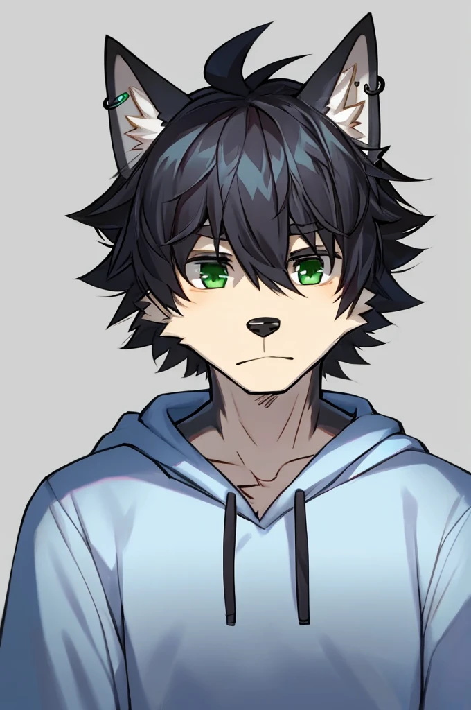 Wolf、Handsome、Messy Hair、wearing a short-sleeved hoodie、A tired face、Simple Background、Black Hair、Black Ear、Green Eyes、The whole body is visible、Looking this way、Earrings、Front view