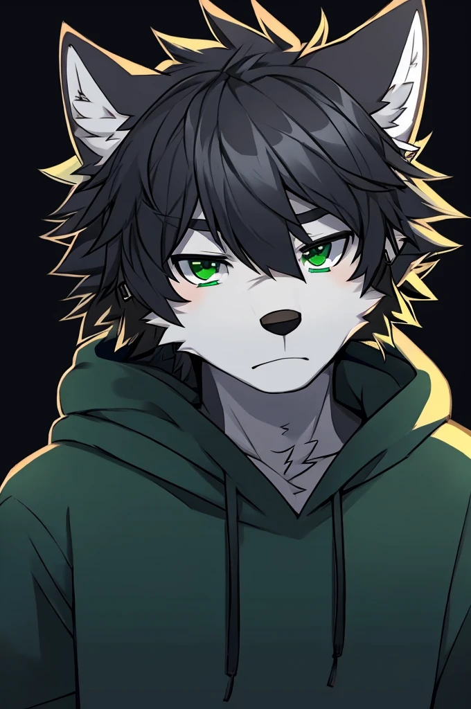 Wolf、Handsome、Messy Hair、wearing a short-sleeved hoodie、A tired face、Simple Background、Black Hair、Black Ear、Green Eyes、The whole body is visible、Looking this way、Earrings、Front view