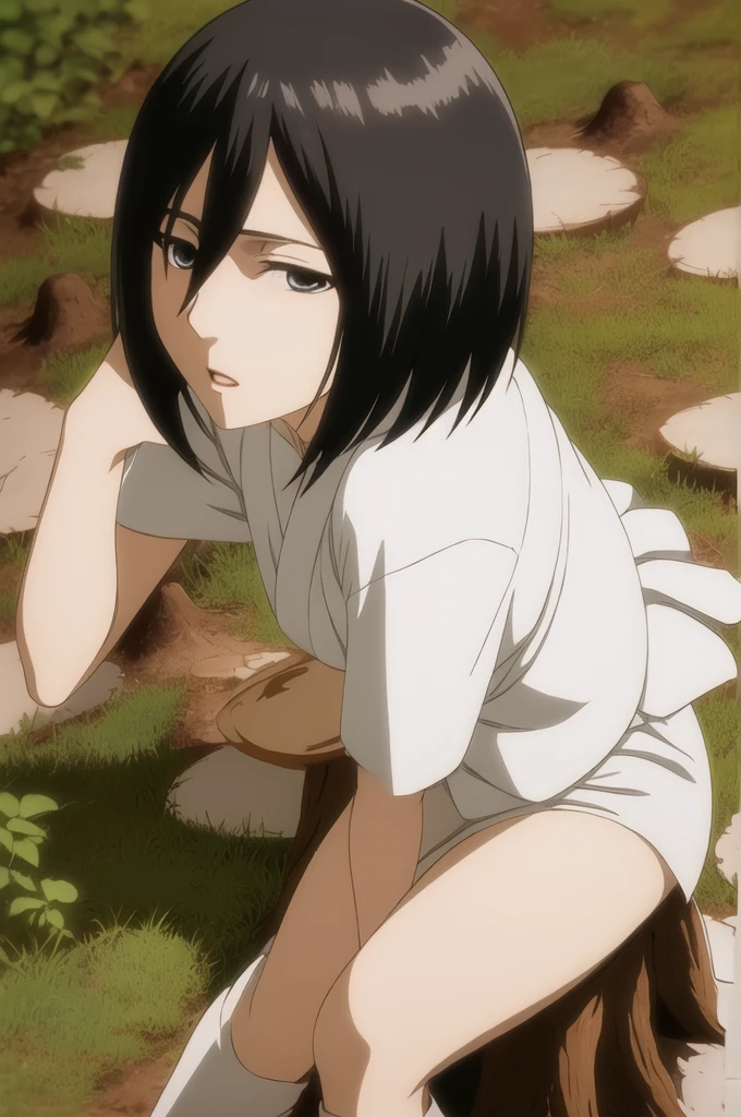 mikasa1 uma mulher, profundidade de campo, adulto, (tronco:1.2), Olhando para o espectador, white kimono