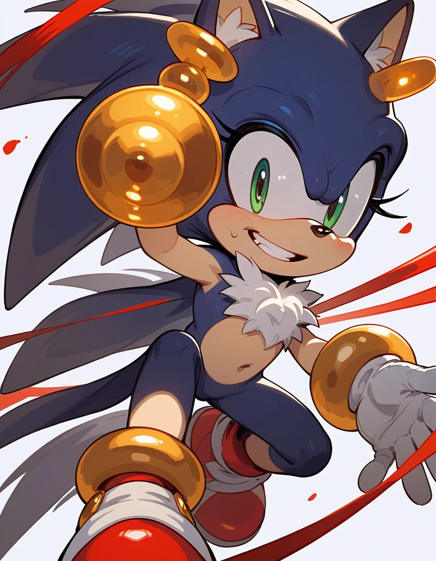 Solo, score_9,score_8_up,score_7_up, (source_furry, tails from sonic series,