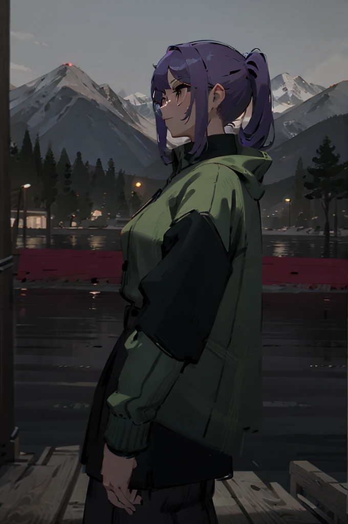 1girl, purple hair, green coat, black jeans, mountain in background, wearing glasses, beautiful masterpiece, perfection, side-view pov