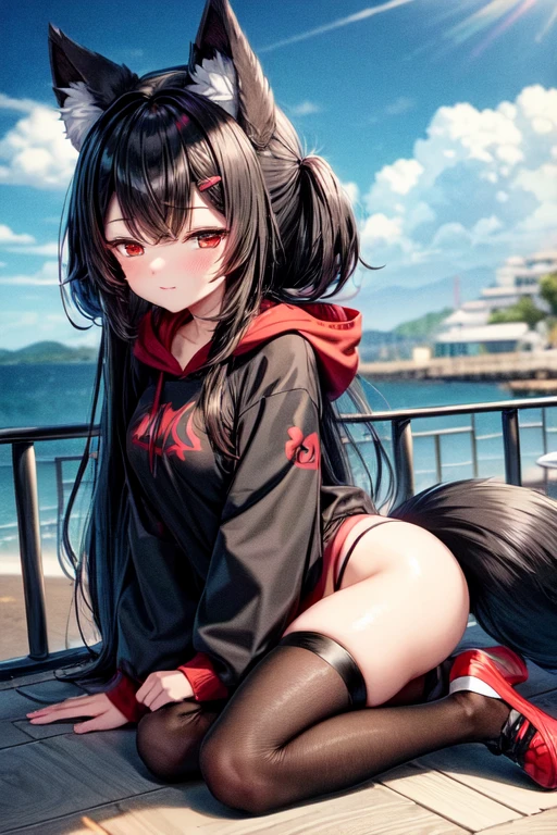 masterpiece, best quality, anime, ((girl)), cute, black hair covering forehead, solid Black Hoodie, front view, ((Red eyes)), ((Black Really Fluffy Wolf tail and ears)), Cute expression, Black Sport-Shorts with Thigh Highs. Black hat, full body, sfw