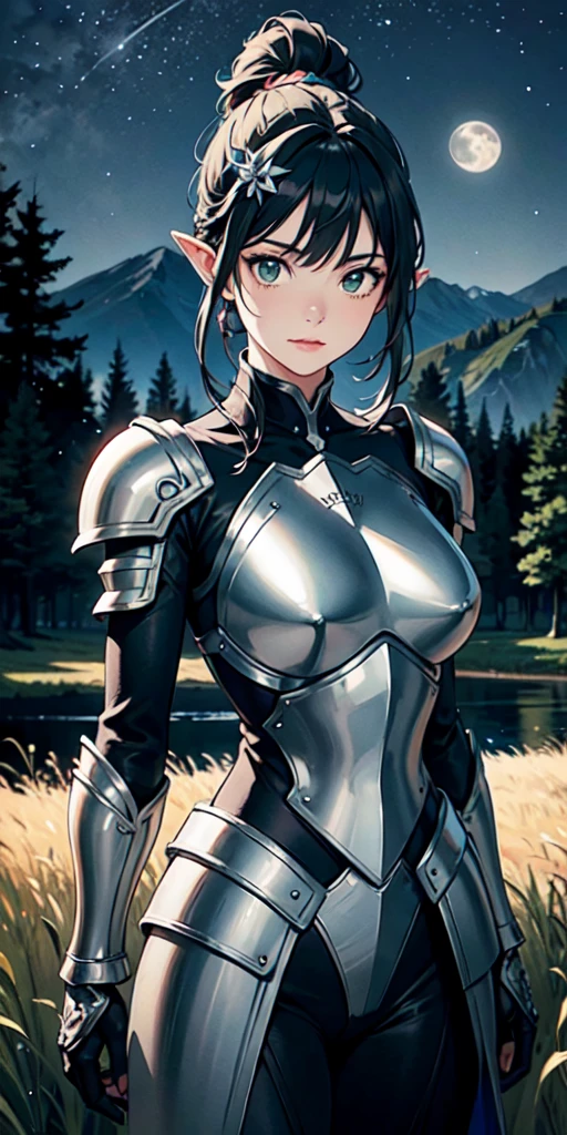 (Style-GHL:0.5),(Style-DA:1.1),dsshadowheart in a field with full of trees,long trees,(lake),beautiful view with mountains,black hair,long hair,ponytail,bangs,braid,hair ornament,pointy ears,green eyes,circlet,armor,((fully armored)),dark silver and leather armor,breastplate,pauldrons,action scene,moon shining in the sky,(cute:0.8),(beautiful:0.8),beautiful model body,skin details,((colorful)),(dramatic lighting, cinematic lighting, volumetric lighting:1.1),dark,(starry night),professional photography,intricate,intricately detailed face and eyes,sharp focus,realistic body proportions,well drawn,masterpiece,ultra detailed,high quality,best quality,4k,8k,