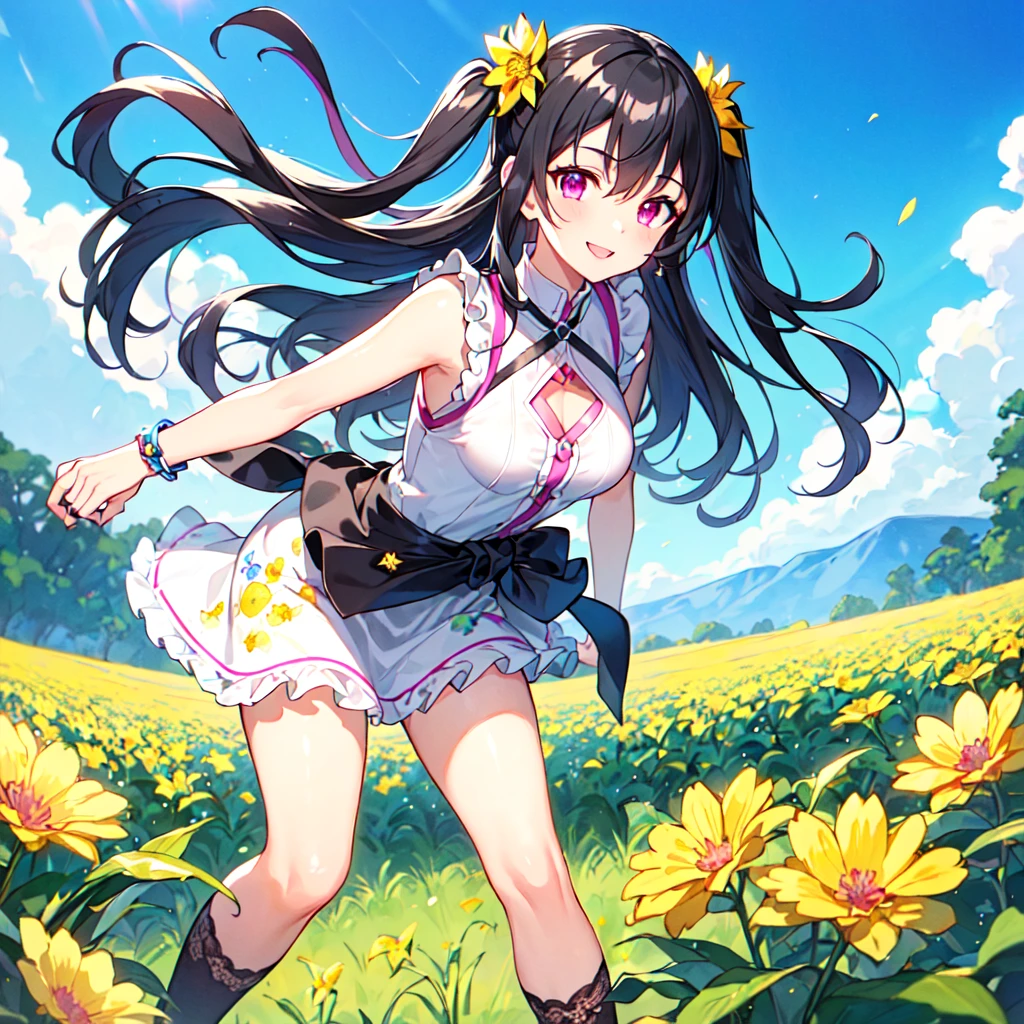 masterpiece, best quality, high quality, extremely detailed, very delicate and beautiful, (1 female 18 years old solo:1.5), (long black hair up to waist with two side up:1.4), bangs to eyebrows, eyes (eyes sharp, strong, glossy, glossy eyebrows), (eye color magenta: 1.3), 6.5 head height, (summer flower print fashion: 1.3), knee socks, ruffles, lace, (smiling), (holding a bouquet of summer flowers: 1.3), (dynamic pose), (background summer colorful flower field: 1.3), (Blue Sky: 1.3)