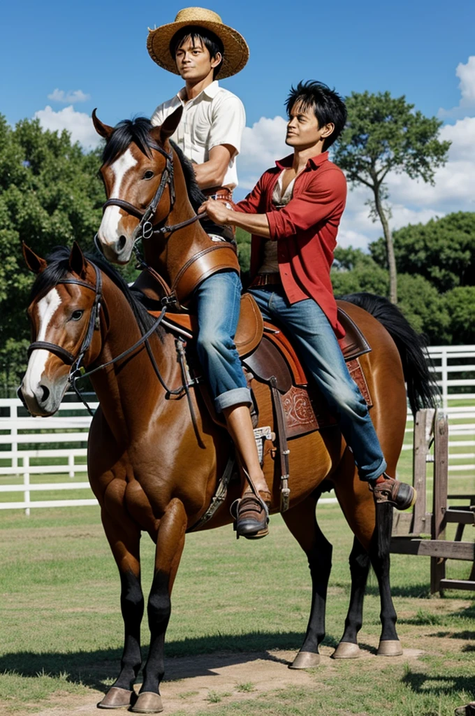 Luffy sur un cheval