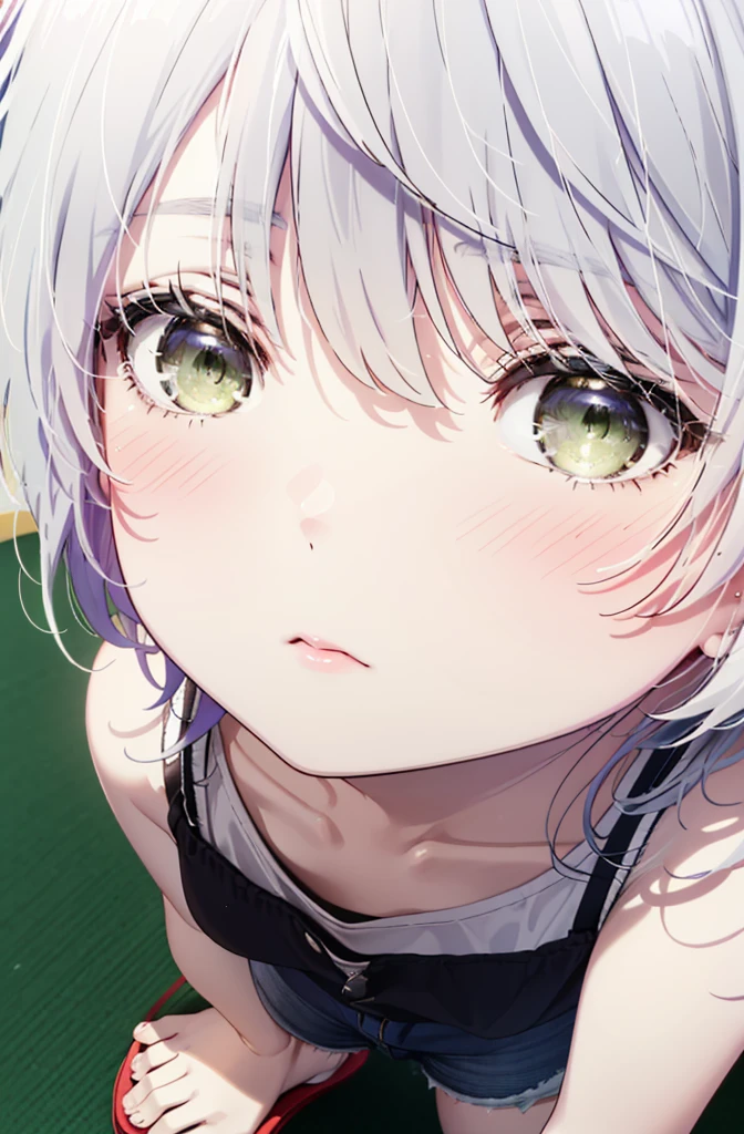 fuukakikuchi, fuuka kikuchi, short hair, bangs, Hair between the eyes, (Green Eyes:1.3), Grey Hair,White vest,Red Tank Top,Shorts,Cute Sandals,whole bodyがイラストに入るように,
break indoors, classroom,
break looking at viewer,whole body,
break (masterpiece:1.2), highest quality, High resolution, unity 8k wallpaper, (figure:0.8), (Beautiful fine details:1.6), Highly detailed face, Perfect lighting, Highly detailed CG, (Perfect hands, Perfect Anatomy),