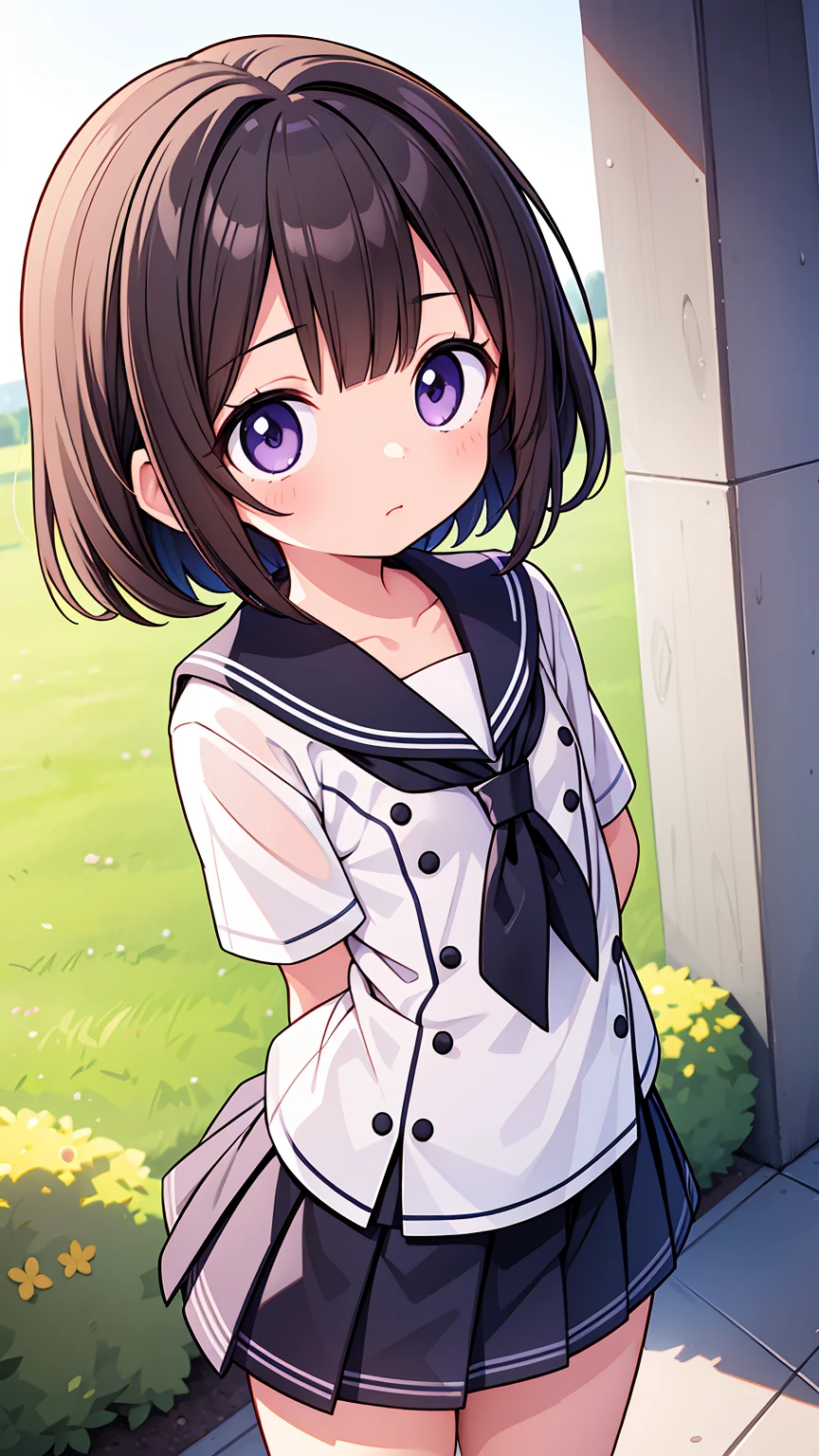 (High quality), (masterpiece), (very detailed), girl, (flat chest:1.6), short brown hair, purple eyes, shy face, primary school girl, white blouse, black skirt with pleats, (loli), showing her thighs, on the school yard, sunny, school girl, (sailor uniform), confessing his love towards the viewer, spectator looked under her, adorable eyes, (school uniform)