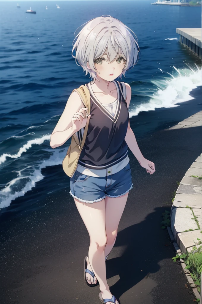 fuukakikuchi, fuuka kikuchi, １Girl Girl,short hair, bangs, Hair between the eyes, (Green Eyes:1.3), Gray Hair,Black cardigan　Front open,smile,blush,White vest,Red Tank Top,Shorts,Cute Sandals,whole bodyがイラストに入るように,Daytime,Clear skies,walking,
break outdoors, 海岸通り
break looking at viewer,whole body,Upper Body,
break (masterpiece:1.2), highest quality, High resolution, unity 8k wallpaper, (shape:0.8), (Fine and beautiful eyes:1.6), Highly detailed face, Perfect lighting, Highly detailed CG, (Perfect hands, Perfect Anatomy),