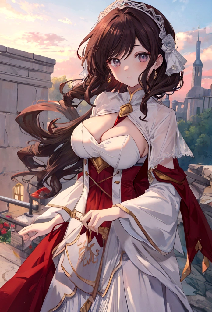 Volume 1 ROMANCE DAWN - The dawn of adventure -