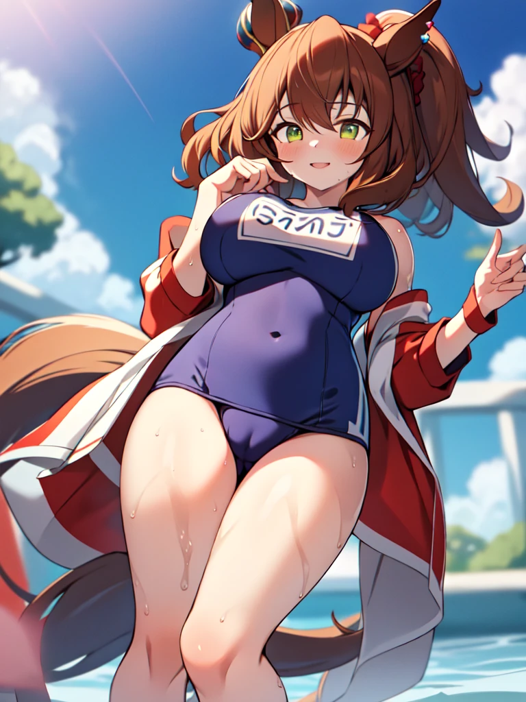 masterpiece, best quality, detailed, highly detailed, ultra detailed, extremely detailed CG, high resolution, 4K, 1girl, solo, aston machan \(umamusume\), horse tail, horse ears, big breasts, standing, from below, school swimsuits, wet, cameltoe,