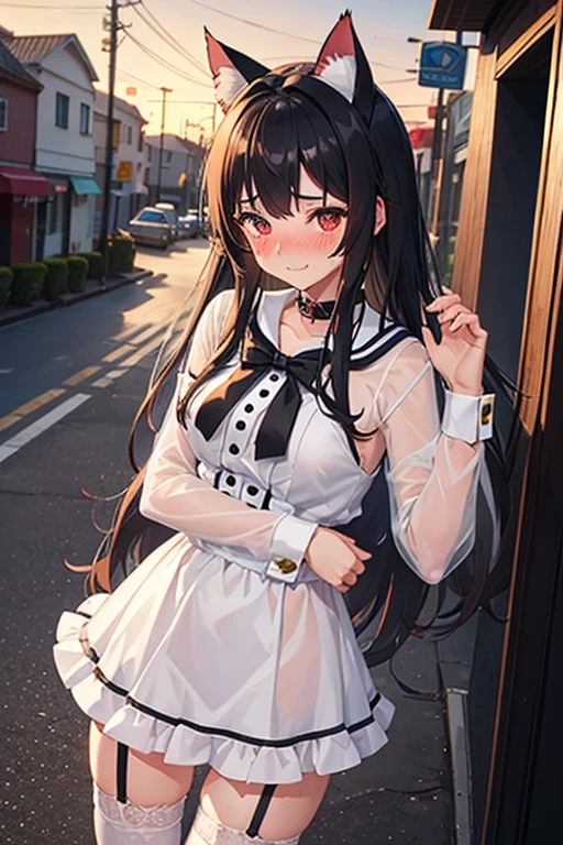 18 yeas old, girl, black hair, long hair, slim, big tits, narrow red eyes, cute, cat ears, (embarrassed, blush:1.3), smiling, sailor uniform, , See-through, ribbon, fishnet, garter belt, frills, Kneesocks, high heels, blue rose, headdress, frontal, standing, spread legs, cat tale, street, sunset,